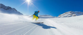 Fresh corduroy