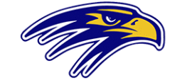 Bow High School Falcons